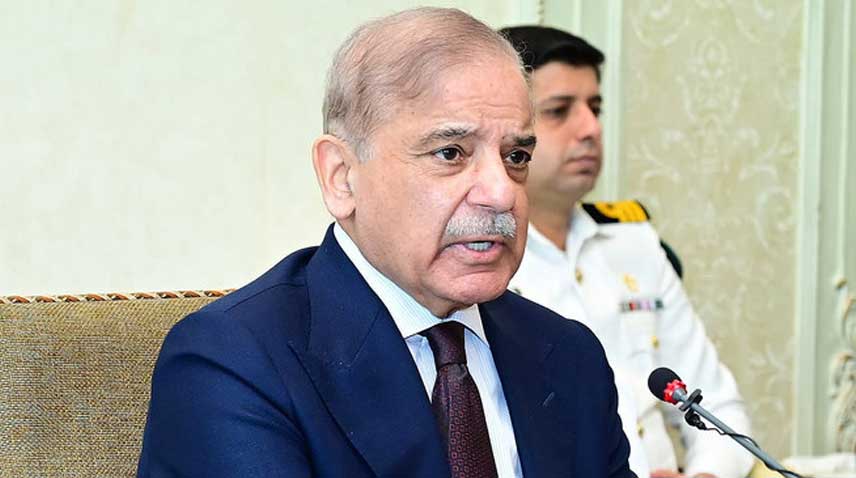 PM Shehbaz forms committee to review, implement economic plan for self-reliance