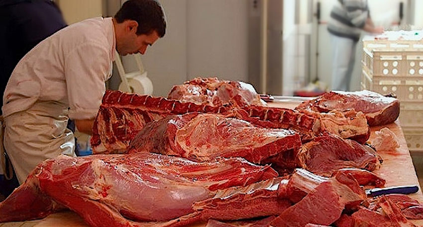 KP food authority to detect donkey meat in seconds KP food authority to detect donkey meat in seconds