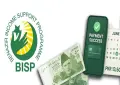 New BISP wallet brings Rs13,500 digital payments - how to receive it?