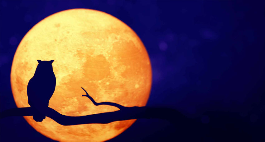 Supermoon December 2025 lights up Pakistan’s sky tonight. File photo