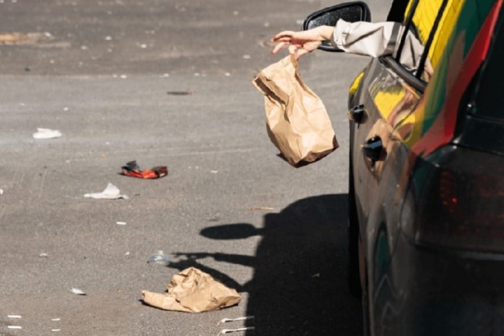 Punjab introduces fines for throwing garbage in public areas