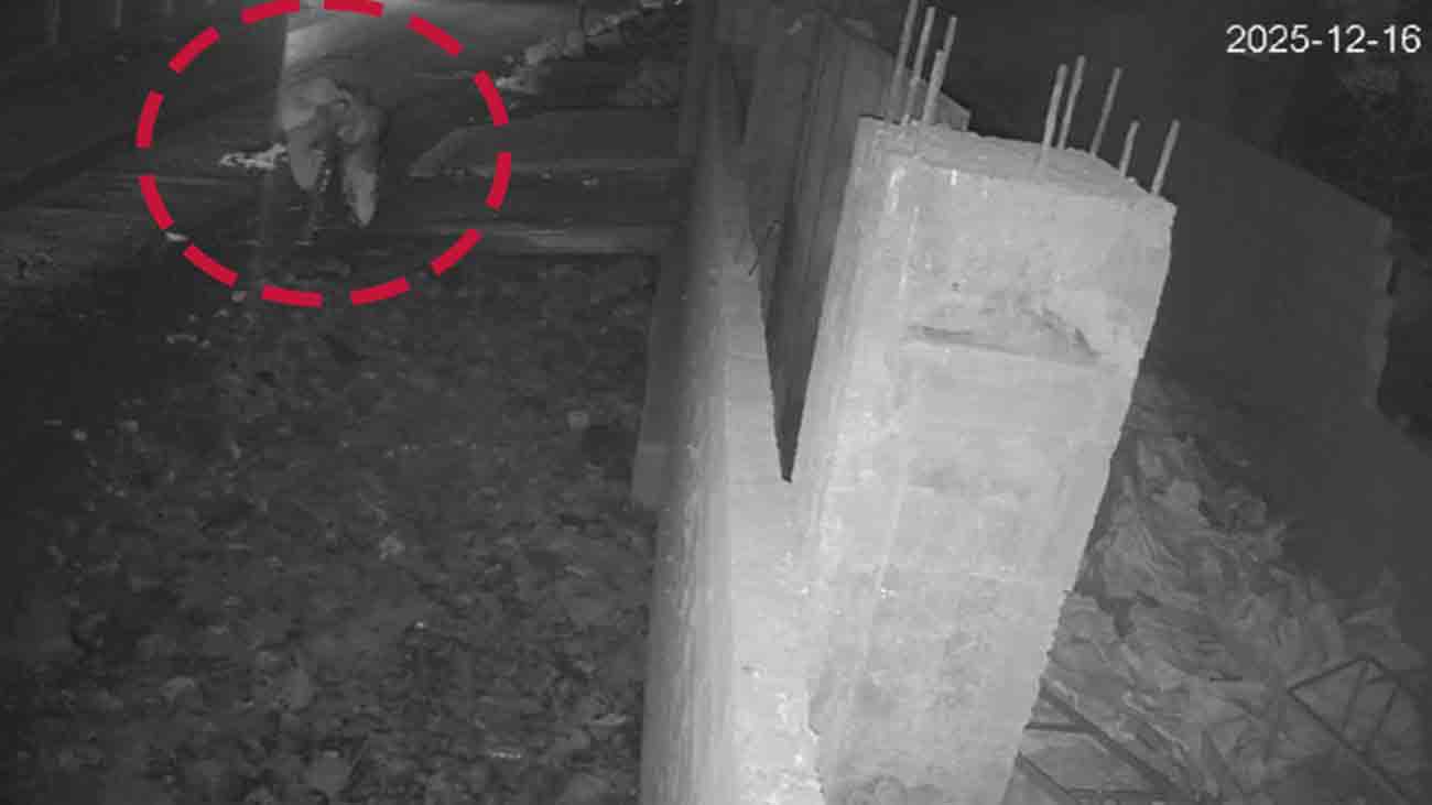 A man died after falling into an open drain in Karachi. File photo