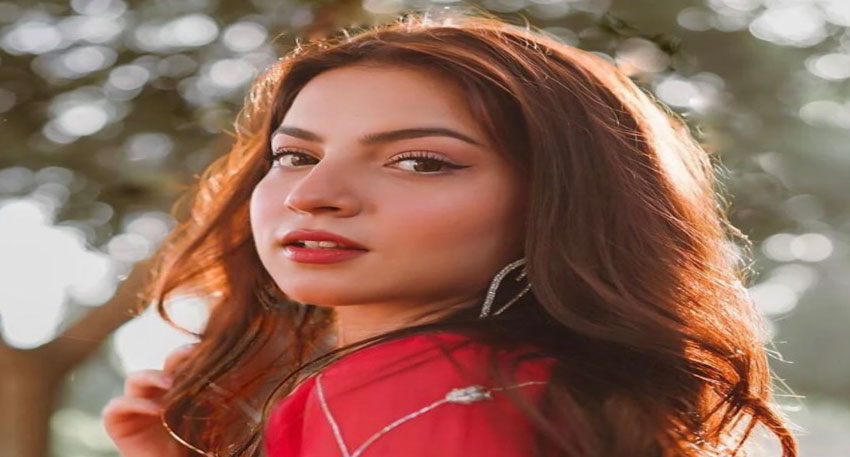 Social media sensation Dananeer Mobeen