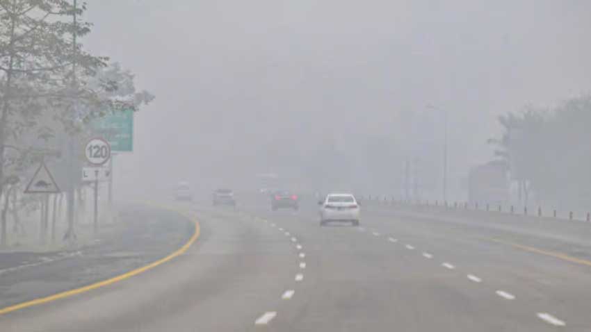Dense fog disrupts traffic on motorways Fog on motorway