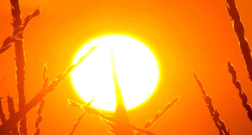 Hot and humid weather forecasted during Eid