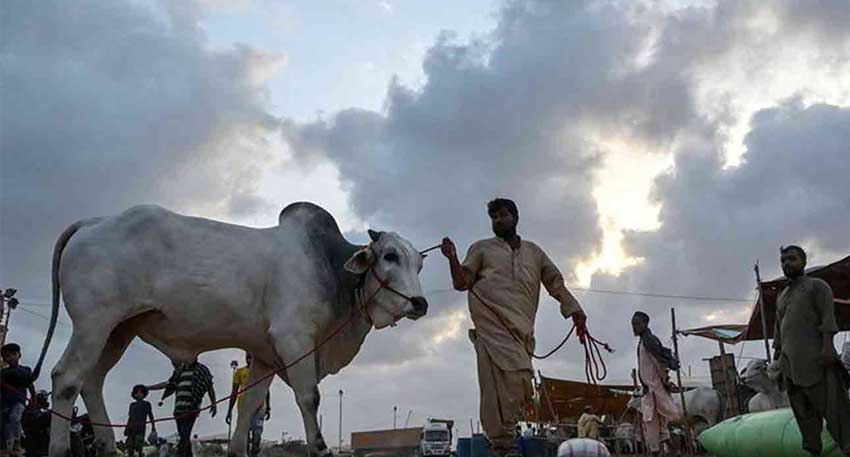 Eidul Azha being celebrated with religious zeal and fervour