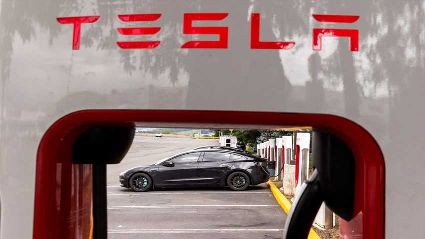 Tesla shares gain after $152 billion selloff, but Trump-Musk truce uncertain