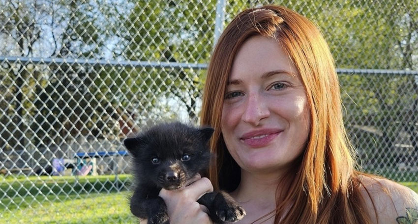 Mikayla Raines, founder of Save A Fox, commits suicide following cyberbullying Mikayla Raines, founder of Save A Fox, commits suicide following cyberbullying