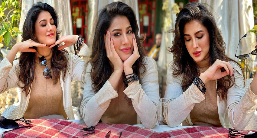 Mehwish Hayat reveals her priorities regarding marriage Mehwish Hayat reveals her priorities regarding marriage
