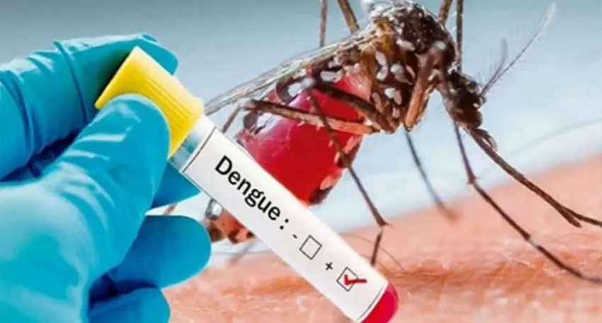 Sindh confirms first dengue death of the year file Photo