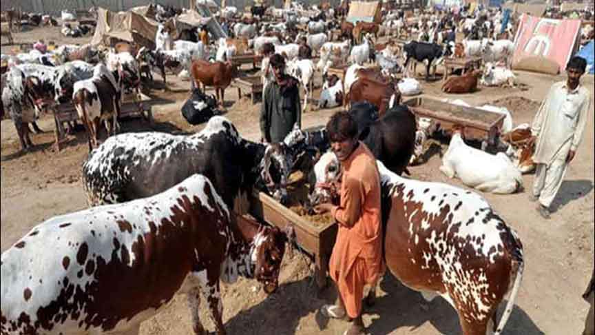 Expected date for Eidul Azha revealed: Why is moon sighting on May 27 unlikely?