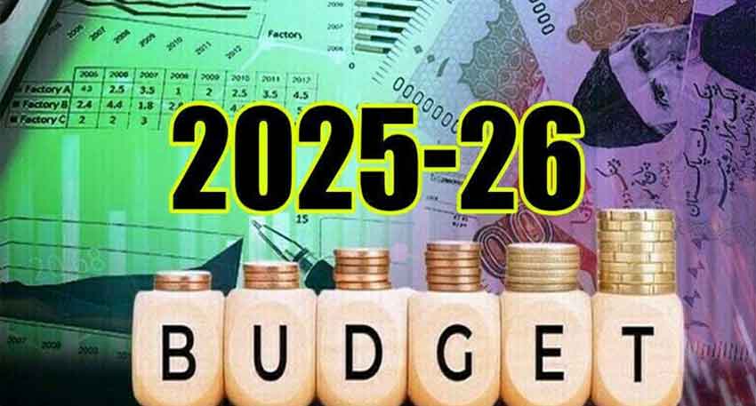 Budget to bring relief for teachers and solar panel users - What FBR reveals?