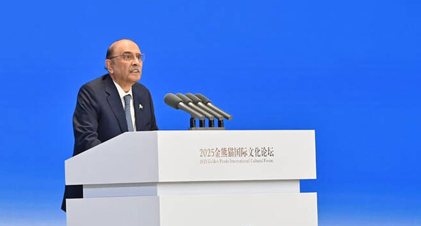 President Asif Ali Zardari