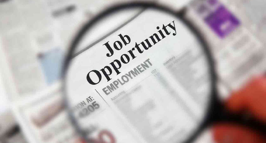 Government to generate 95,000 job opportunities