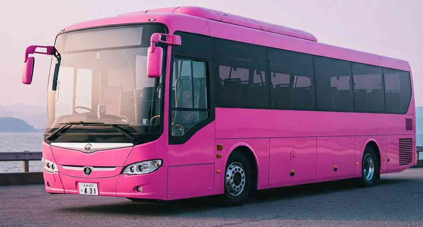 Karachi launches pink buses for women on green line track