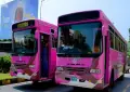 Sindh Pink Bus service route
