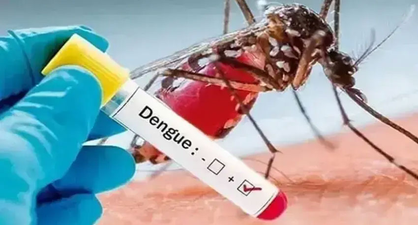 Health authorities warn as dengue cases surge