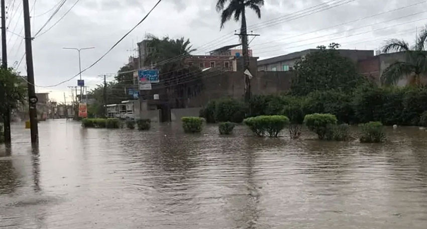 506mm rain devastates Gujrat, holiday announced across district File Photo