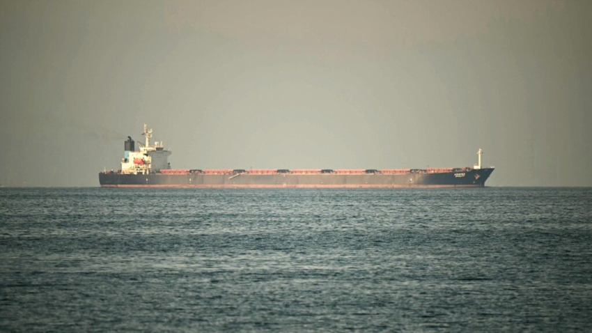 Turkey has confirmed that a second Turkish-flagged ship has successfully crossed the Strait of Hormuz. File photo