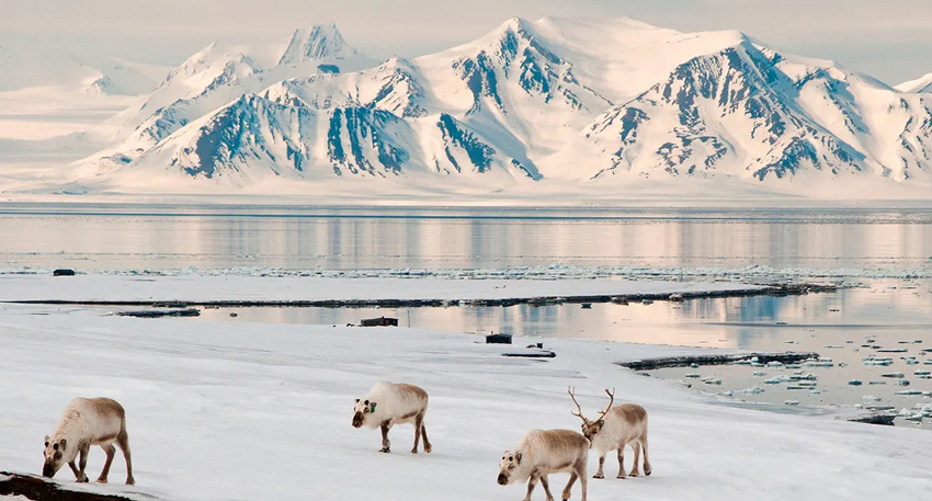 Snow-covered Svalbard landscape where no birth ot burial is allowed