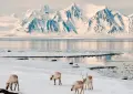 World’s unique region where birth and burial are both prohibited