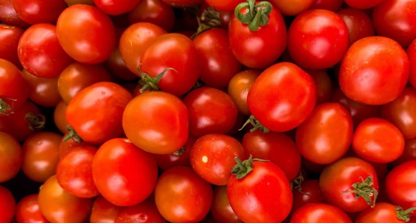 Tomatoes prices surge significantly