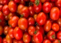 Tomato prices soar to Rs. 200 per Kg in Lahore amid vegetable price hike