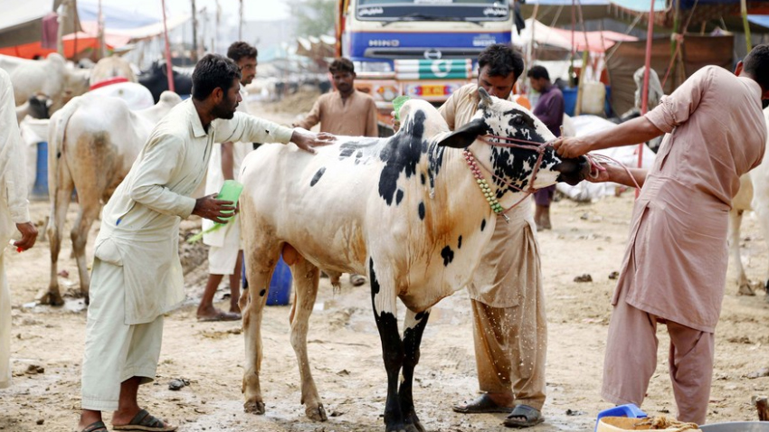 Eid al-Adha 2026 is likely to fall on May 27 in Pakistan. File photo