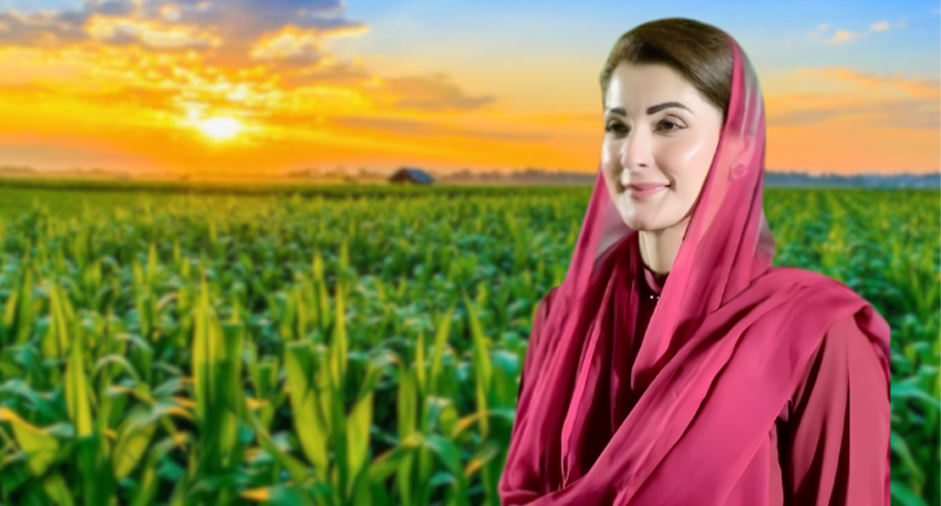 Maryam Nawaz in a red dupatta standing before a lush green crop field at sunrise.