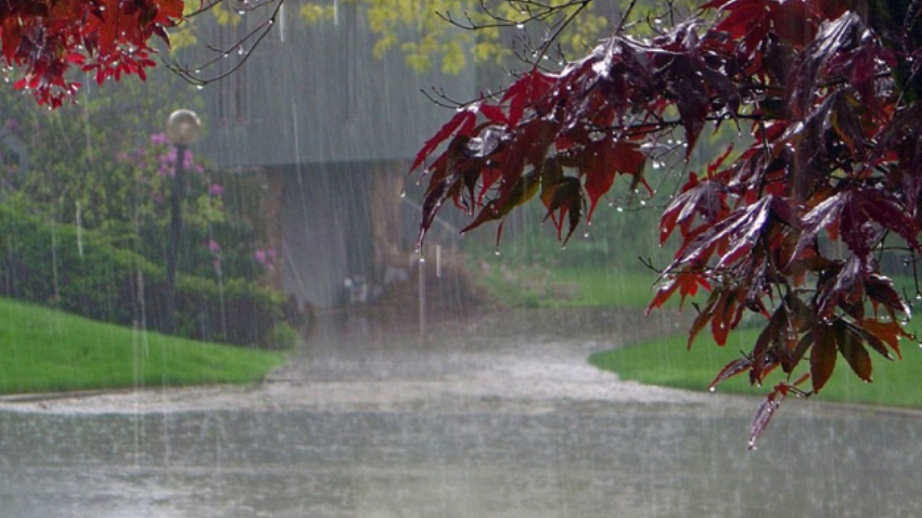 The Pakistan Meteorological Department has forecast more rainfall in Punjab and Islamabad. File photo