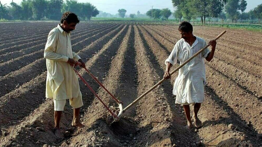 Punjab has launched the ‘Apna Khet, Apna Rozgar’ programme. File photo