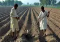 Punjab launches ‘Apna Khet, Apna Rozgar’ scheme for Cholistan