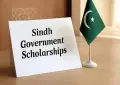 Sindh announces new scholarship for youth with IT training