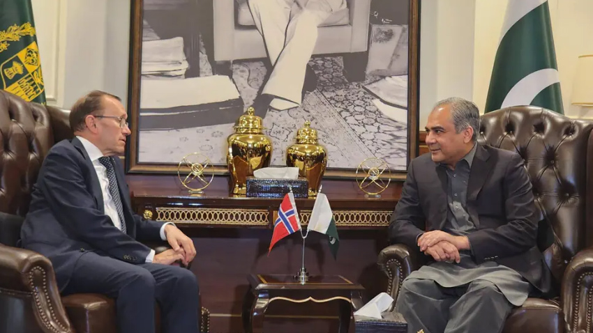 Interior Minister Mohsin Naqvi meets Norwegian Foreign Minister Espen Barth Eide in Islamabad. File photo