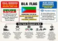 BLA flag sparks debate over its colours and historical symbolism