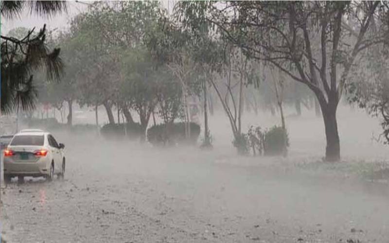 Punjab rain alert: Heavy monsoon showers lash several districts
