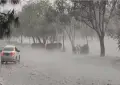Punjab rain alert: Heavy monsoon showers lash several districts