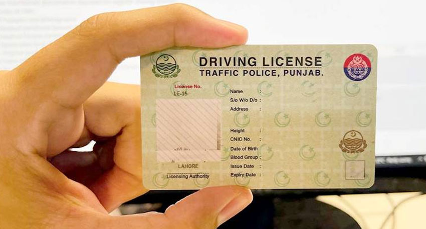 Punjab driving licence
