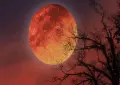 Lunar eclipse to light up the sky on August 28