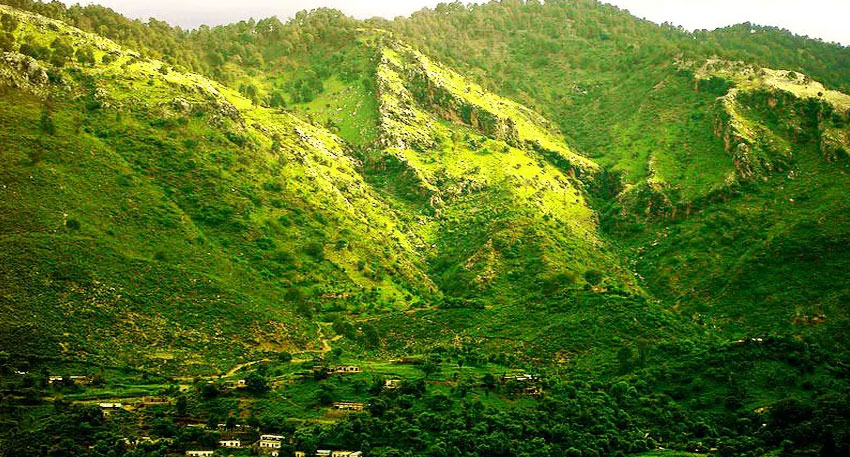 Margalla Forest restoration begins after SC ban on stone crushing