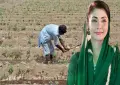 ‘Apna Khet Apna Rozgar’ - Maryam announces free govt land and green tractors