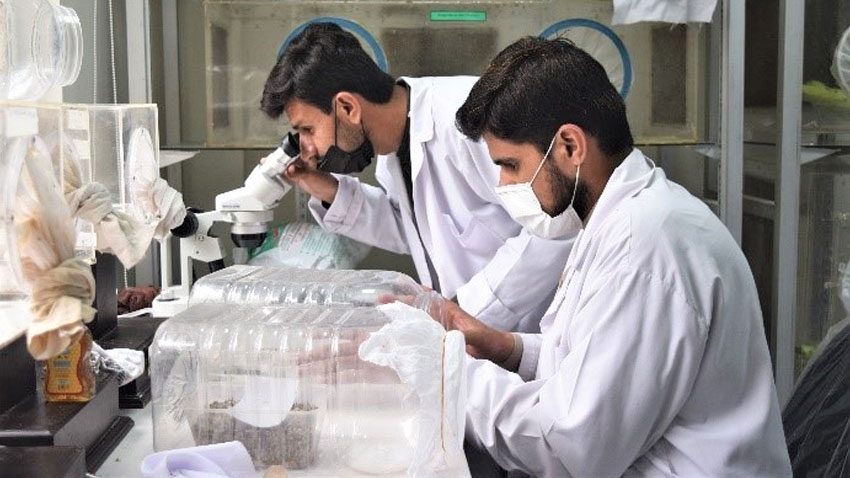 Agriculture interns stipend Rs70,000 as green tractor subsidy and rooftop hydroponic project launched. File photo