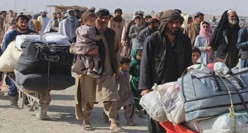 Punjab deportation drive