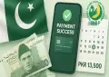 8171 SMS alert: BISP launches dynamic survey for 2026 assistance