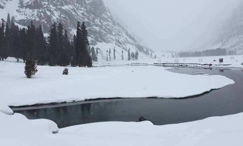 Cold wave, dense fog to grip Pakistan as temperatures drop