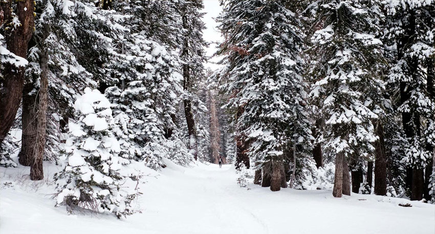 Pakistan weather update