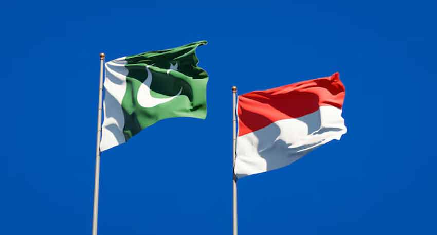 National flags of Pakistan and Indonesia waving together against a clear blue sky.