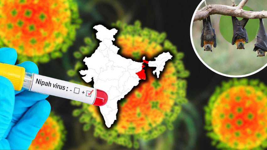 Nipah virus outbreak contained in India’s West Bengal