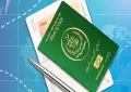 Pakistan launches Digital Emergency Travel Document for overseas citizens