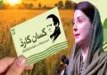Punjab issues 900,000 Kissan Cards to farmers